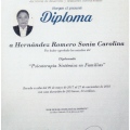 Ampliar imagen: certificate 3