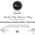 Ampliar imagen: certificate 2