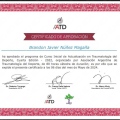 Ampliar imagen: certificate 1