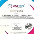 Ampliar imagen: certificate 3