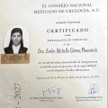 Ampliar imagen: certificate 3