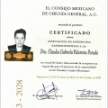Ampliar imagen: certificate 1