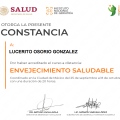 Ampliar imagen: certificate 19