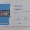 Ampliar imagen: certificate 4
