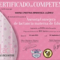 Ampliar imagen: certificate 3
