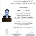 Ampliar imagen: certificate 1