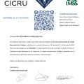 Ampliar imagen: certificate 2