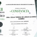 Ampliar imagen: certificate 3