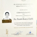 Ampliar imagen: certificate 4