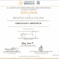 Ampliar imagen: certificate 2