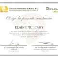 Ampliar imagen: certificate 9
