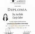 Ampliar imagen: certificate 3