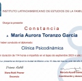 Ampliar imagen: certificate 2