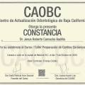 Ampliar imagen: certificate 10