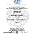 Ampliar imagen: certificate 4