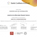 Ampliar imagen: certificate 14