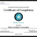 Ampliar imagen: certificate 12