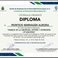Ampliar imagen: certificate 8