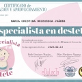 Ampliar imagen: certificate 1