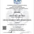 Ampliar imagen: certificate 1