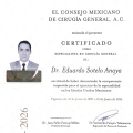 Ampliar imagen: certificate 4