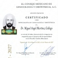 Ampliar imagen: certificate 1