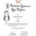 Ampliar imagen: certificate 2