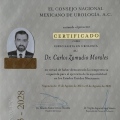 Ampliar imagen: certificate 6