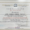 Ampliar imagen: certificate 3