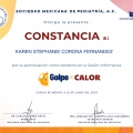 Ampliar imagen: certificate 5