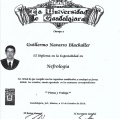 Ampliar imagen: certificate 3