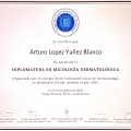 Ampliar imagen: certificate 6