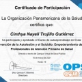 Ampliar imagen: certificate 3