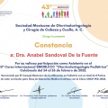 Ampliar imagen: certificate 3