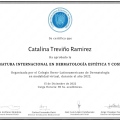 Ampliar imagen: certificate 3