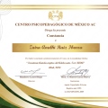 Ampliar imagen: certificate 3