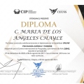 Ampliar imagen: certificate 9