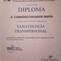 Ampliar imagen: certificate 4