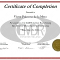 Ampliar imagen: certificate 1