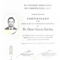Ampliar imagen: certificate 5