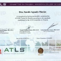 Ampliar imagen: certificate 2