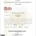 Ampliar imagen: certificate 5