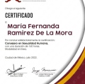 Ampliar imagen: certificate 3