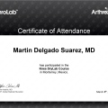 Ampliar imagen: certificate 4