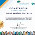 Ampliar imagen: certificate 4