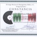 Ampliar imagen: certificate 3