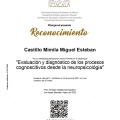 Ampliar imagen: certificate 7