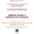 Ampliar imagen: certificate 4