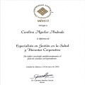 Ampliar imagen: certificate 6