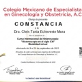 Ampliar imagen: certificate 5
